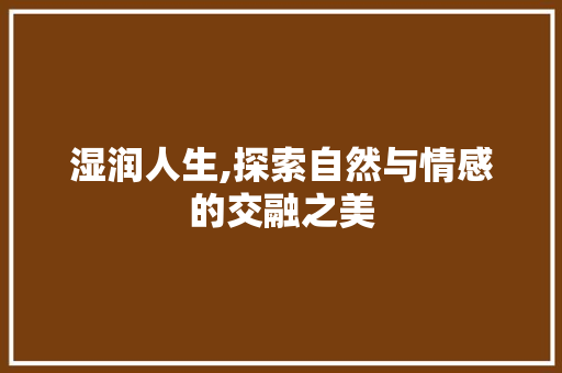 湿润人生,探索自然与情感的交融之美