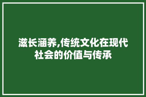 滋长涵养,传统文化在现代社会的价值与传承