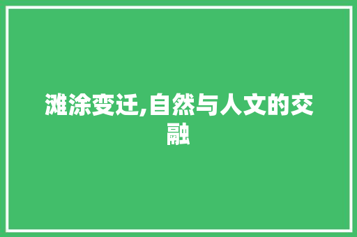 滩涂变迁,自然与人文的交融