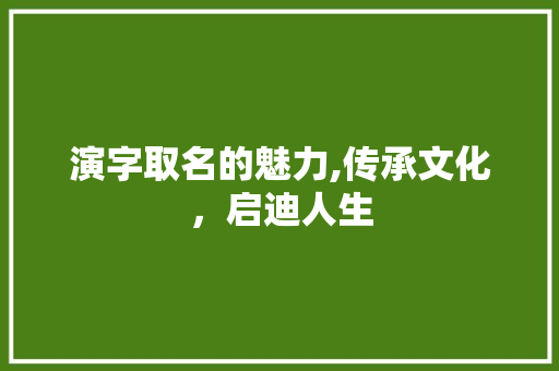演字取名的魅力,传承文化，启迪人生
