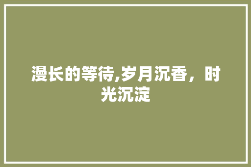 漫长的等待,岁月沉香，时光沉淀