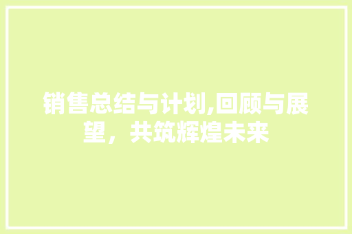 销售总结与计划,回顾与展望，共筑辉煌未来