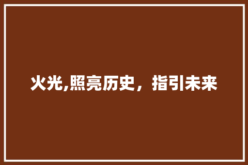 火光,照亮历史，指引未来