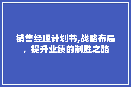 销售经理计划书,战略布局，提升业绩的制胜之路