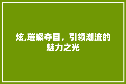 炫,璀璨夺目，引领潮流的魅力之光