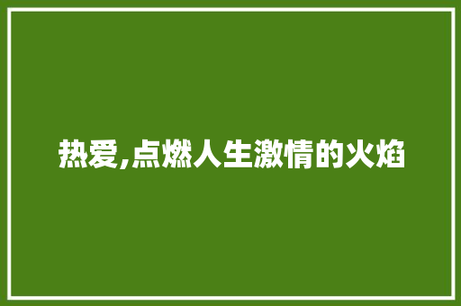 热爱,点燃人生激情的火焰