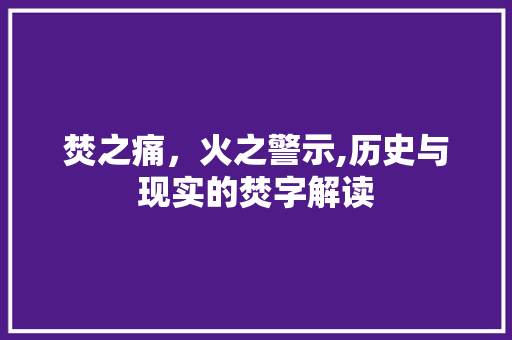 焚之痛，火之警示,历史与现实的焚字解读