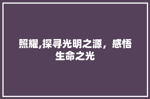 照耀,探寻光明之源，感悟生命之光