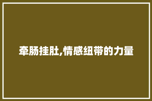 牵肠挂肚,情感纽带的力量