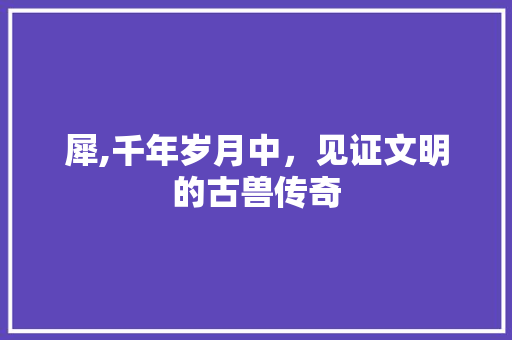 犀,千年岁月中，见证文明的古兽传奇
