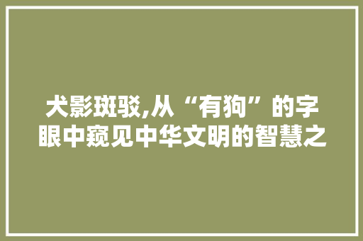 犬影斑驳,从“有狗”的字眼中窥见中华文明的智慧之光