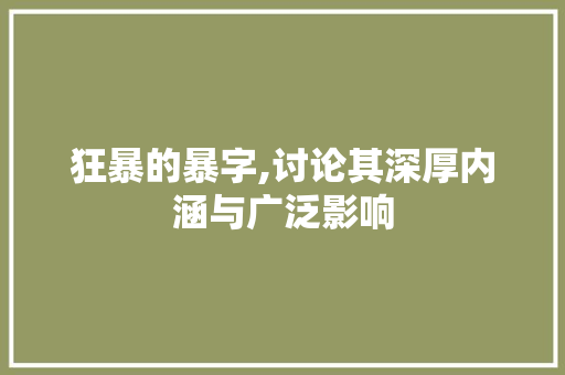 狂暴的暴字,讨论其深厚内涵与广泛影响