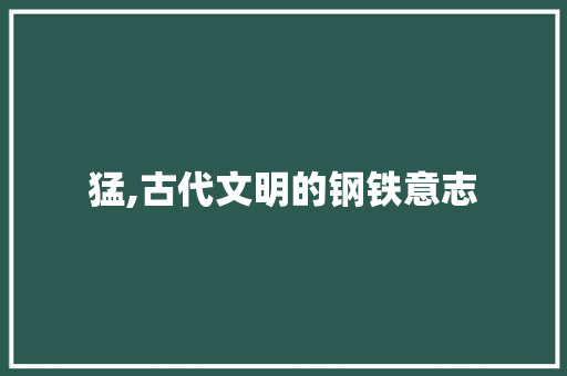 猛,古代文明的钢铁意志