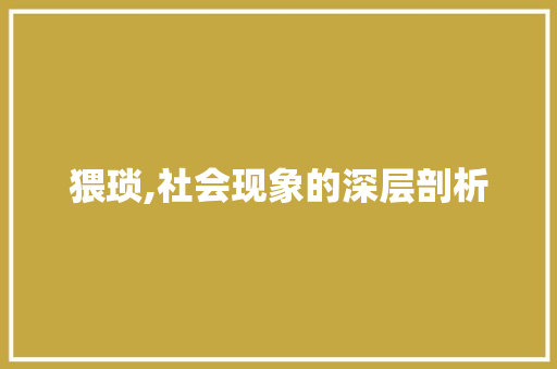 猥琐,社会现象的深层剖析