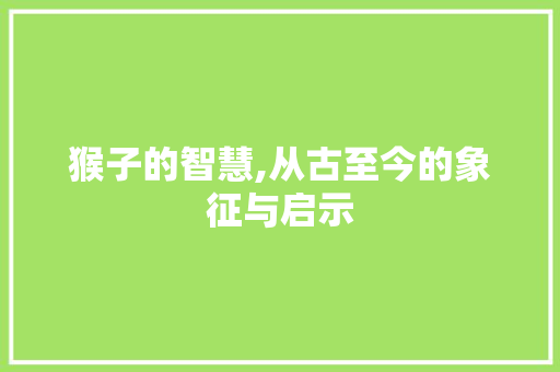 猴子的智慧,从古至今的象征与启示