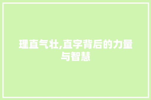 理直气壮,直字背后的力量与智慧