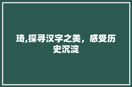 琦,探寻汉字之美，感受历史沉淀