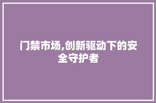门禁市场,创新驱动下的安全守护者
