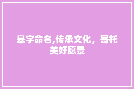 皋字命名,传承文化，寄托美好愿景