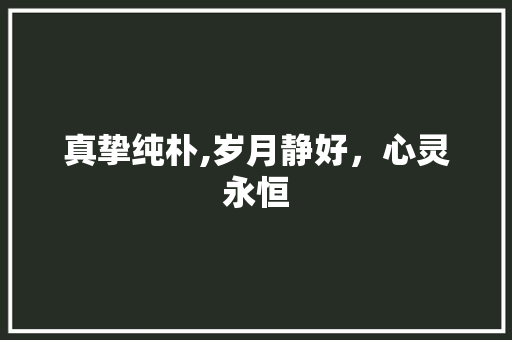 真挚纯朴,岁月静好，心灵永恒