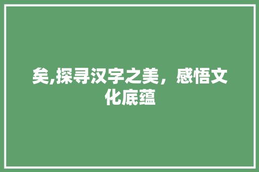矣,探寻汉字之美，感悟文化底蕴