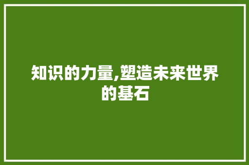 知识的力量,塑造未来世界的基石