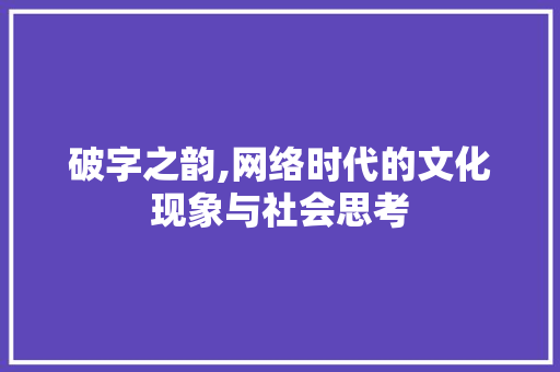 破字之韵,网络时代的文化现象与社会思考