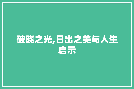 破晓之光,日出之美与人生启示