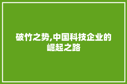 破竹之势,中国科技企业的崛起之路