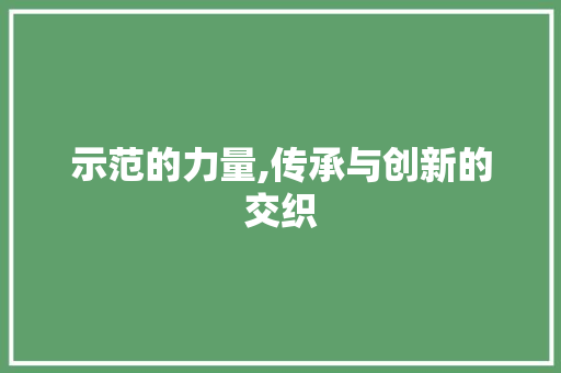示范的力量,传承与创新的交织