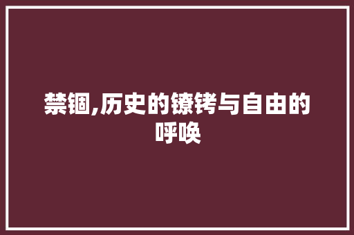 禁锢,历史的镣铐与自由的呼唤