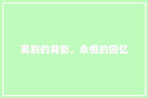 离别的背影，永恒的回忆