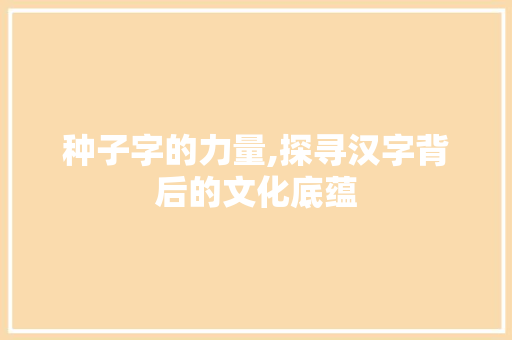种子字的力量,探寻汉字背后的文化底蕴