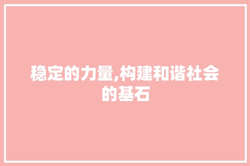 稳定的力量,构建和谐社会的基石