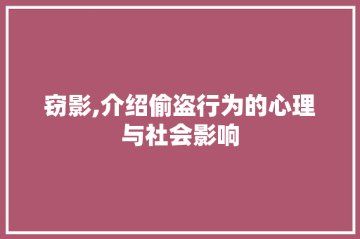 窃影,介绍偷盗行为的心理与社会影响