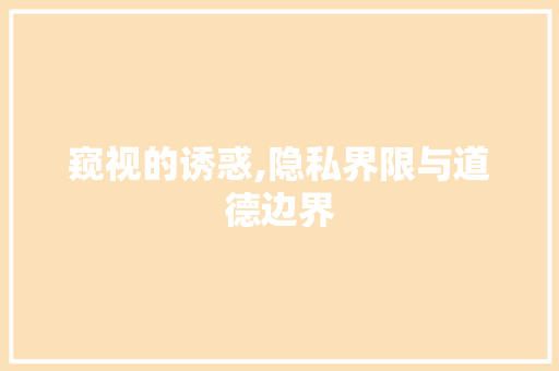 窥视的诱惑,隐私界限与道德边界