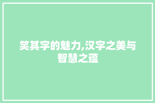 笑其字的魅力,汉字之美与智慧之蕴