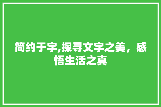 简约于字,探寻文字之美，感悟生活之真