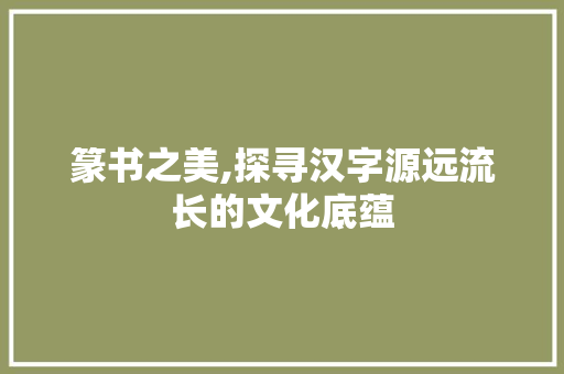 篆书之美,探寻汉字源远流长的文化底蕴