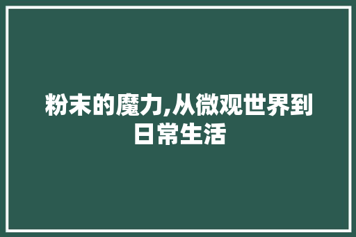 粉末的魔力,从微观世界到日常生活