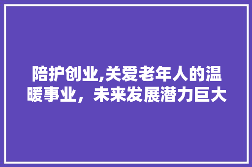 陪护创业,关爱老年人的温暖事业，未来发展潜力巨大
