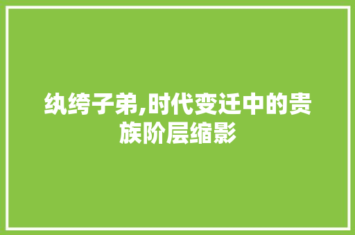 纨绔子弟,时代变迁中的贵族阶层缩影