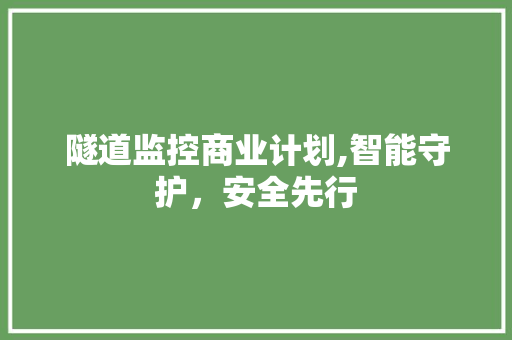 隧道监控商业计划,智能守护，安全先行