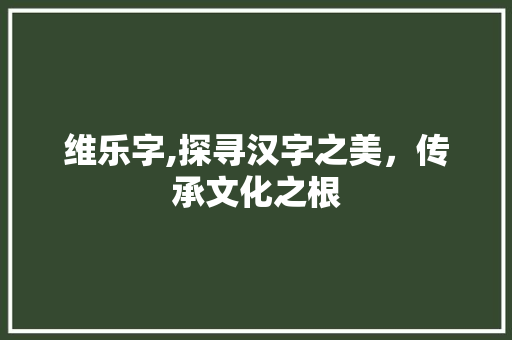 维乐字,探寻汉字之美，传承文化之根