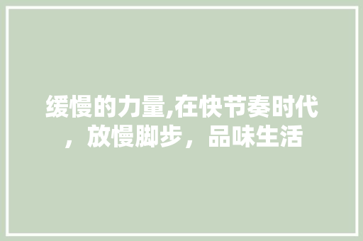 缓慢的力量,在快节奏时代，放慢脚步，品味生活