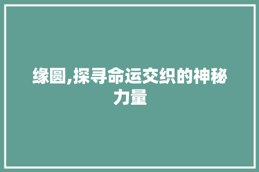 缘圆,探寻命运交织的神秘力量