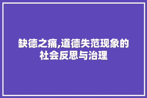 缺德之痛,道德失范现象的社会反思与治理