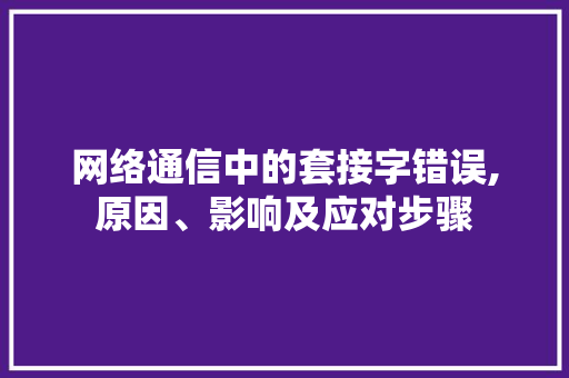 网络通信中的套接字错误,原因、影响及应对步骤