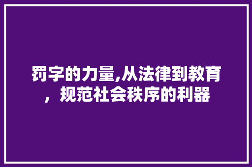 罚字的力量,从法律到教育，规范社会秩序的利器