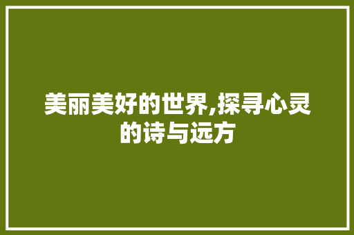 美丽美好的世界,探寻心灵的诗与远方